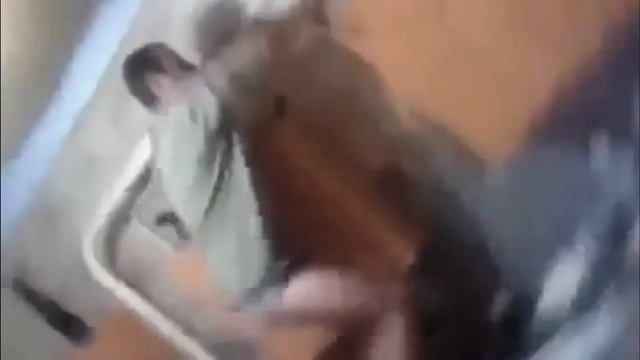 идиоты придурки дибилы  и т п  80-ый уровень