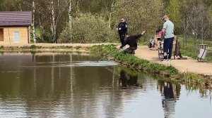 Утренние поимки на водоеме
