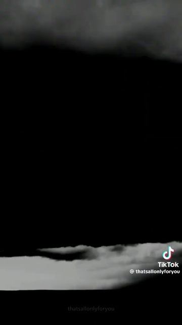 26 июля 2024 г.