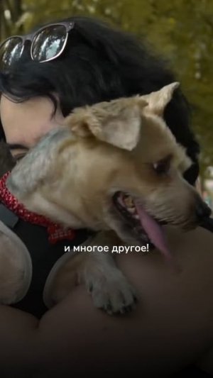 Ура! Фестиваль «Собаки в городе» возвращается спустя 3 года! 🐾