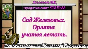 Сад Железовых. Орлята учатся летать.