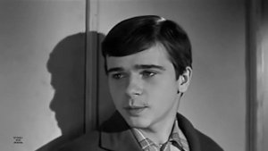"Журавлиная песня" из кинофильма "Доживем до понедельника" (1967). Исполняет Таня Семёнова
