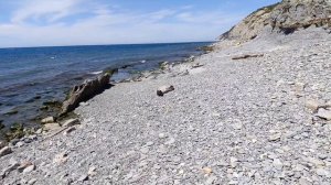 Пляж Шингари, река Шингари. Когда вам говорят про пляж ЖК Кипарис то имеют ввиду именно этот пляж.