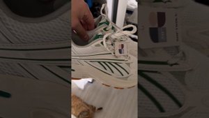 Кроссовки Sprandi Running 1869688888 #кроссовки #сникерсы #сникерс