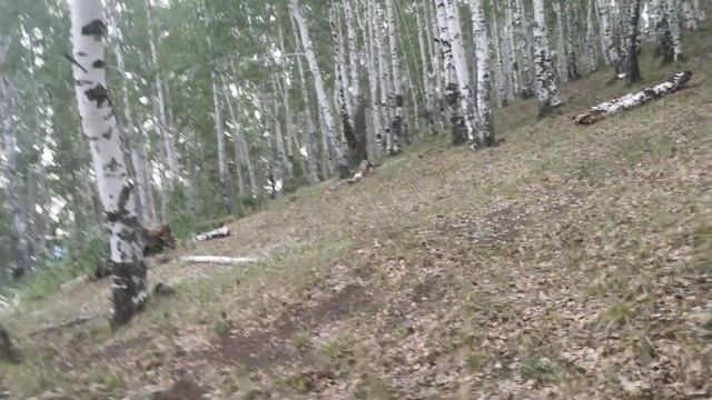 Панорама Верх-Нейвинска с горы Сухой смотреть онлайн