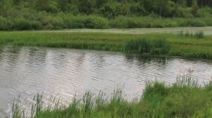 В просторах и озеро Суховское Кемерово