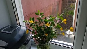 готовлю гороховый суп