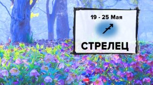 СТРЕЛЕЦ ♐ 19 - 25 Мая 2025 | Расклад таро на неделю для знака Зодиака Стрелец
