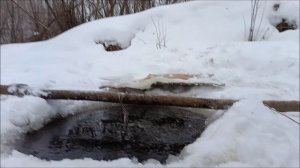 Ловлю щук в Рыболовную снасть Хапуга