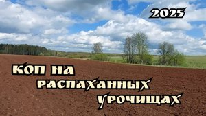 Коп на распаханных урочищах с Nokta Find X Pro 2025