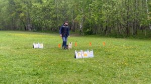 PO-1, Дмитрий Лыков, Джуна, Кубок Панды 2025 по Ралли Обидиенс онлайн