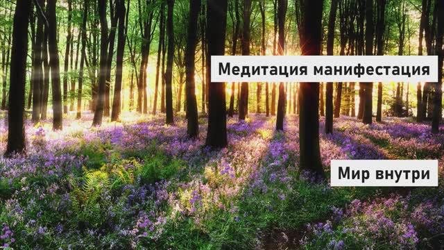 Медитация |Манифестация изобилия