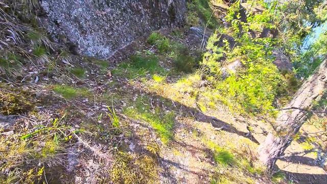 Монрепо 10.06.23 смотреть онлайн