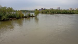 Бешеный клёв рыбы на донки в чертах города Новосибирск. Поймал Голавля и Лещей