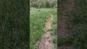 YouCut_20250517_213229600.mp4