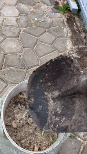 Насыпаю в мешок в одного легко и просто