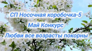 СП Носочная коробочка-5 с Еленой Велиной. Май. Конкурс. Носочки "Любви все возрасты покорны"