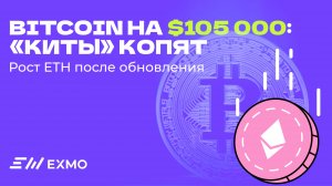 Bitcoin пробил $105 000: киты накапливают, прогнозы до $1 млн | Криптоновости EXMO.me