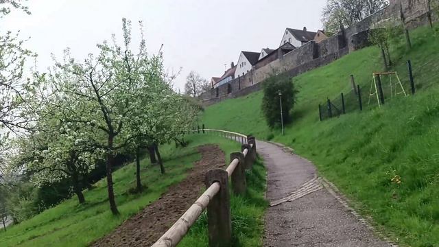 Сайбель Катя. Любимая Мартуся. Обзор влогов. 25 06 2024 Сайбель смотреть онлайн