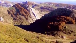 ВАЛЕРИЙ ЗАЛКИН_ЖУРАВЛИ_Из коллекции мировых шедевров