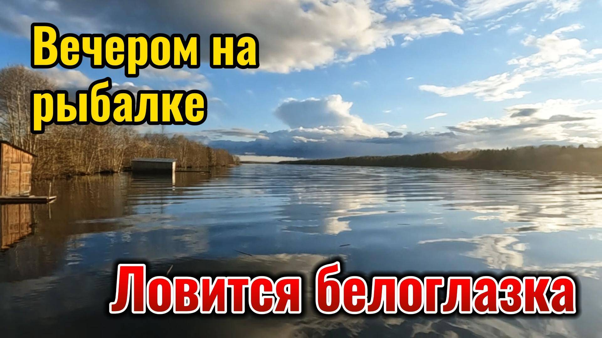 Ловлю белоглазку после майских холодов.