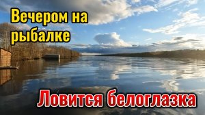 Ловлю белоглазку после майских холодов.