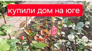 481 🏠 Переехали жить из города в станицу. Нас не поняли! Кто мы такие!