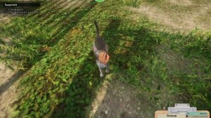 Animal Shelter |  Рутина в приюте – один день из жизни волонтеров | SailorGame