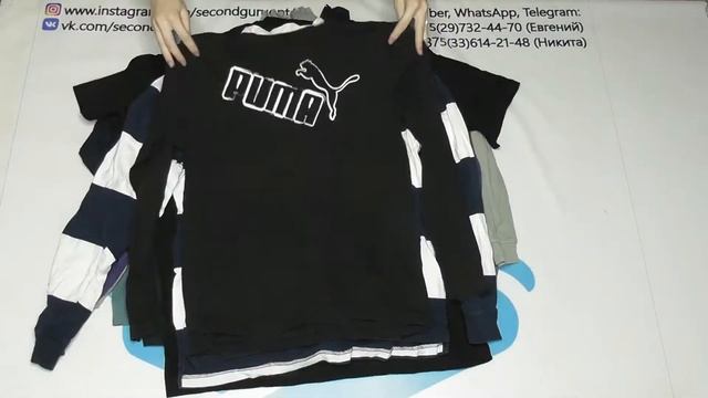 лот8243 Майка Длинный Рукав (секонд) смотреть онлайн