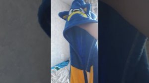 обзор на костюм Соника
