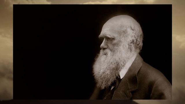 Люди, в которых никто не верил, но которые добились успеха смотреть онлайн