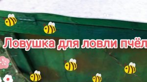 Пришла пора подготовить ловушки на пчёл