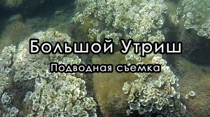 Подводная съемка на Большом Утрише.