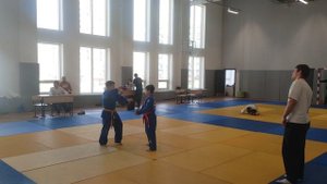 Соревнования по дзюдо