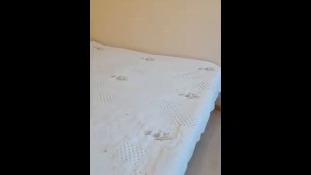 Добро пожаловать в Кисловодск! смотреть онлайн