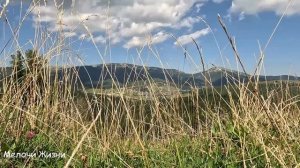 Чтобы угодить, подарил матери шубу, а жене швабру, но с?