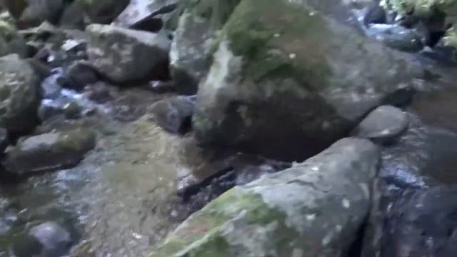 ЗЛАТНИТЕ МОСТОВЕ - ВИТОША 2