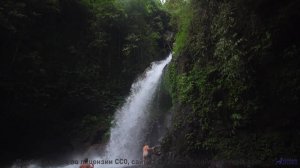 Поля танцуют, когда включается такой саунд - Steady Leave (ID 741) -- Lobo Loco -- DREAM OF LIGHTNIN