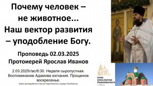 2025.02.23 Почему человек – не животное. Наш вектор развития - уподобление Богу. Протоиерей Ярослав