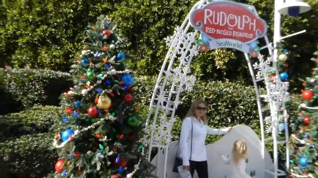 Christmas at Sea World California. Рождество в Морском Мире.