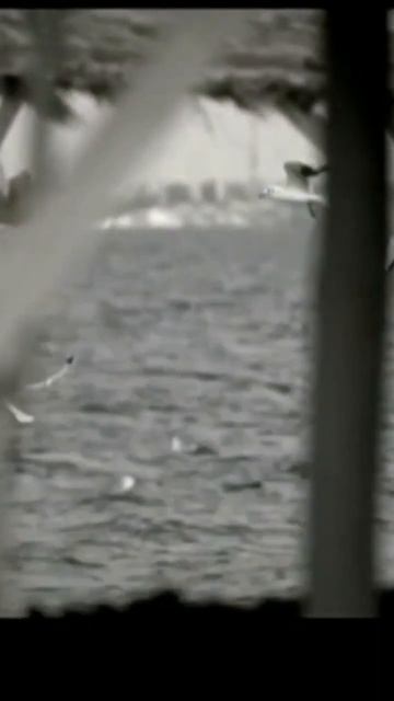 Крутейший трек Гуфа #short #rap #гуф #россия #украина смотреть онлайн