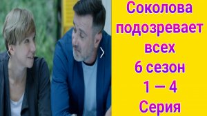 Соколова подозревает всех 6 сезон 1 — 4 серия , сериал детектив ТВЦ 2025