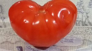 сочиняю музыку, копаюсь в старых наработках и работах