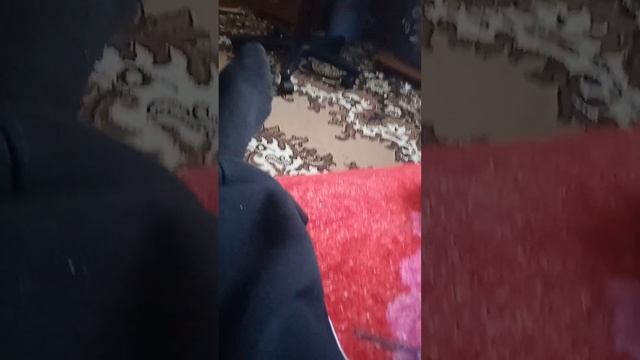 23 декабря 2022 г. смотреть онлайн