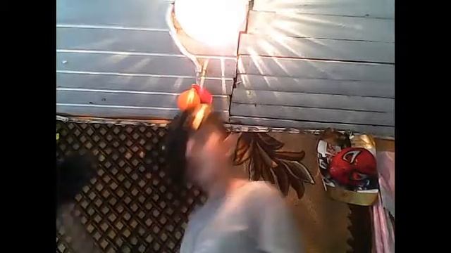 Neket X+- тапочки смотреть онлайн