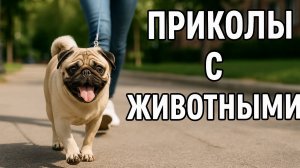 Смех до слёз: лучшие приколы №142
