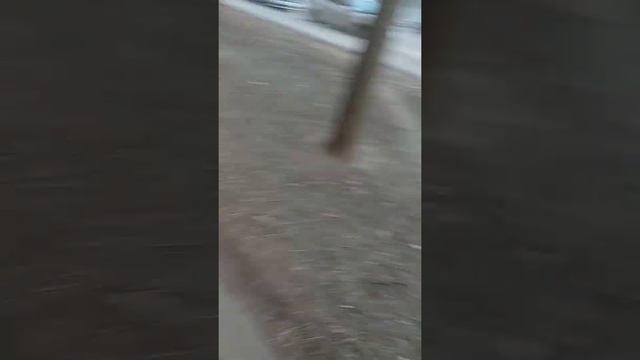 Снят летящий вертолёт в небе с Клинской улицы с Клинского переулка да и с Зеленоградской улицы смотреть онлайн