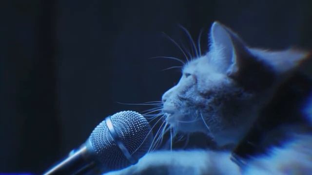 Вы такого еще не видели!! Все ищут этот клип- Киски на вписке!! смотреть онлайн