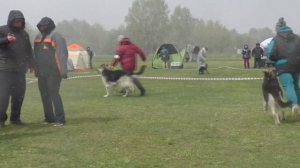 Сравнение на ЛК