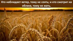 Кто наблюдает ветер, тому не сеять; и кто смотрит на облака, тому не жать.